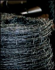 sarma ghimpata. barbed wire. Stacheldraht